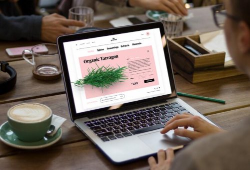 如何选择合适的Web设计公司