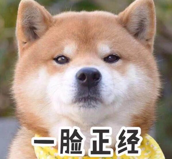 如何制作自己的网站